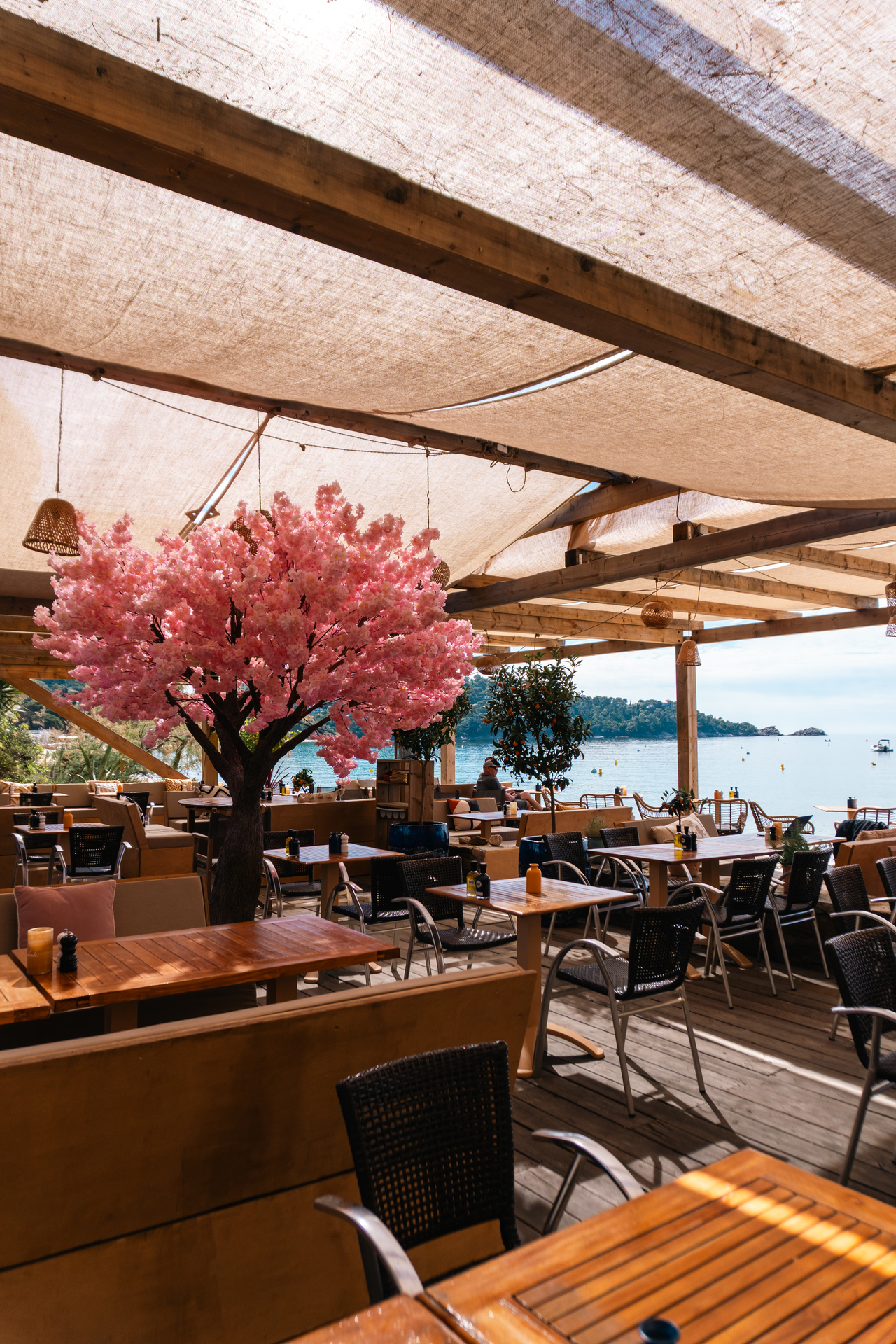 La terrasse ombragée de Noca Plage : cerisier en fleurs, tables en bois et voiles tendues, ouvertes sur la baie de Cavalière